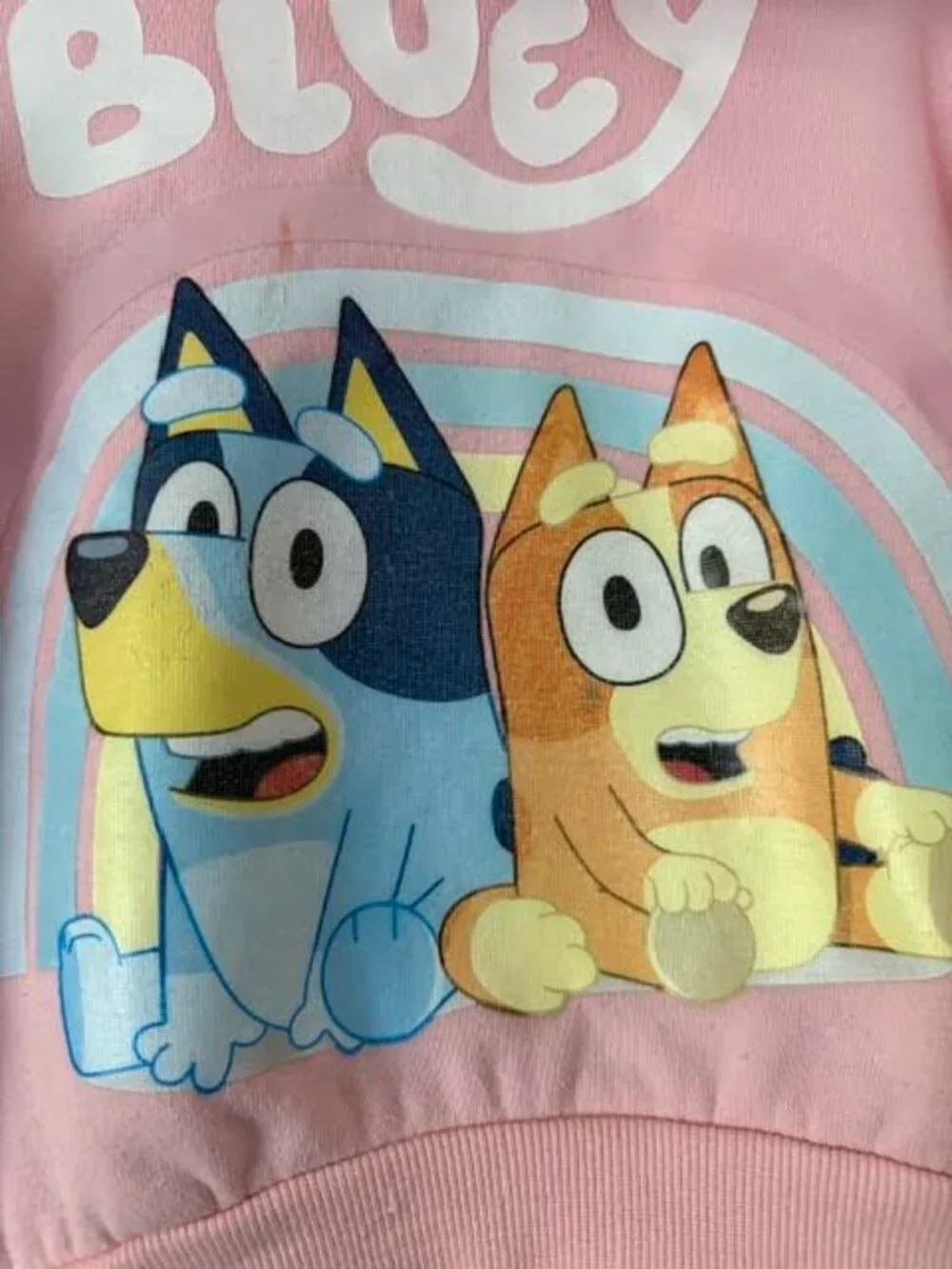 Bluey Bingo Girls 5T Fleece Hoodie & Leggings Set Pink/Purple
